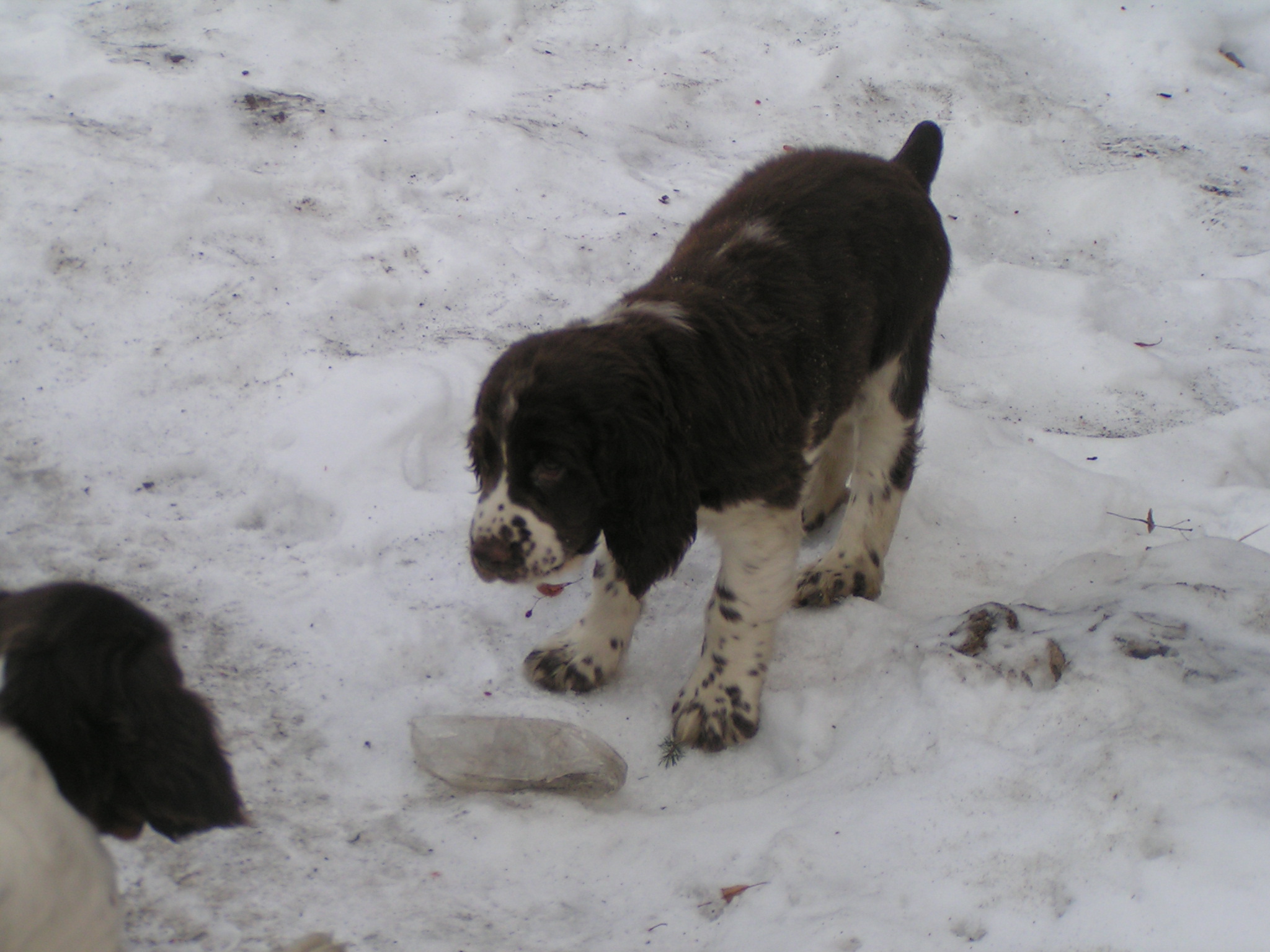PICT0179.JPG