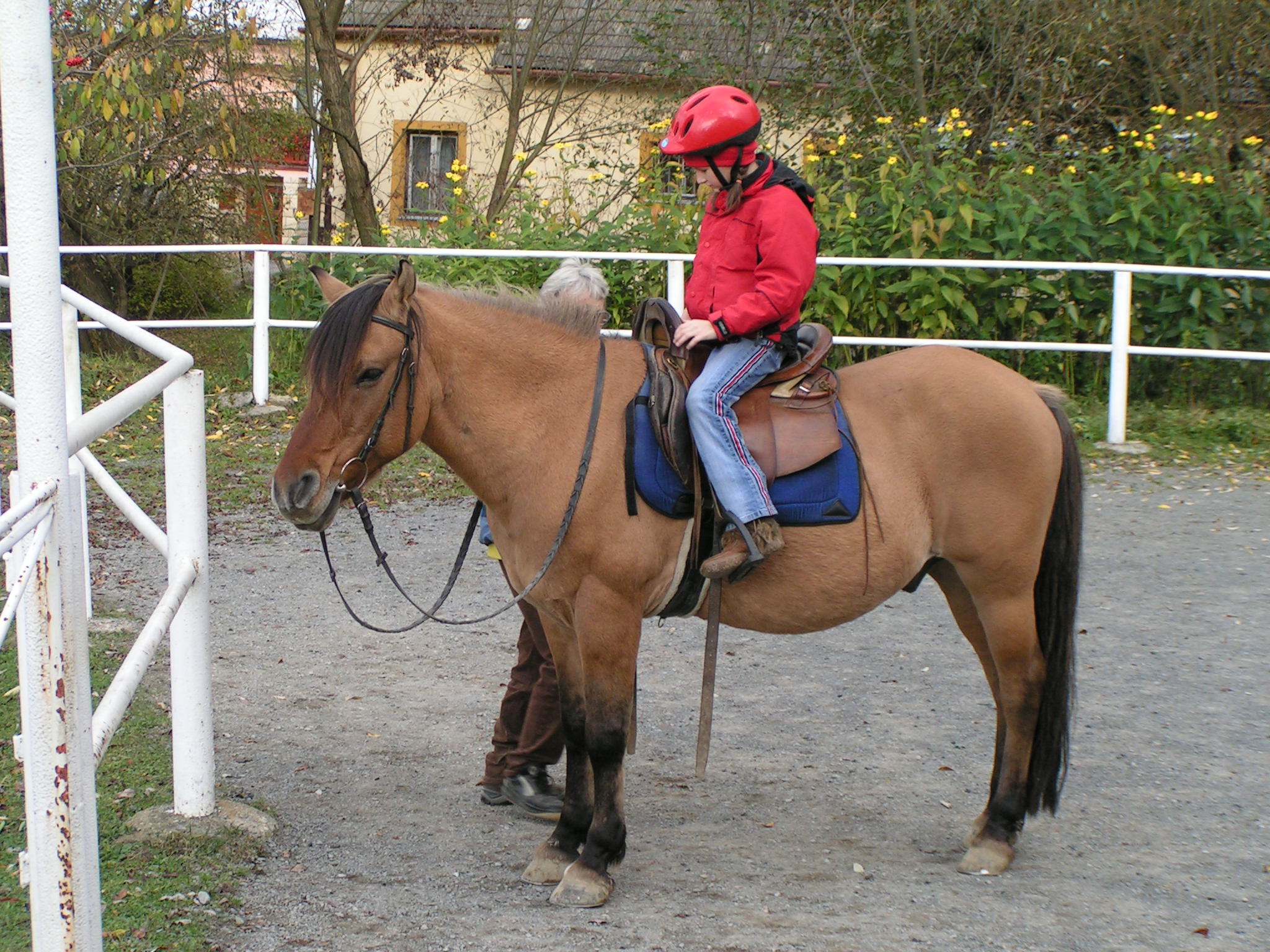 PICT0090.JPG