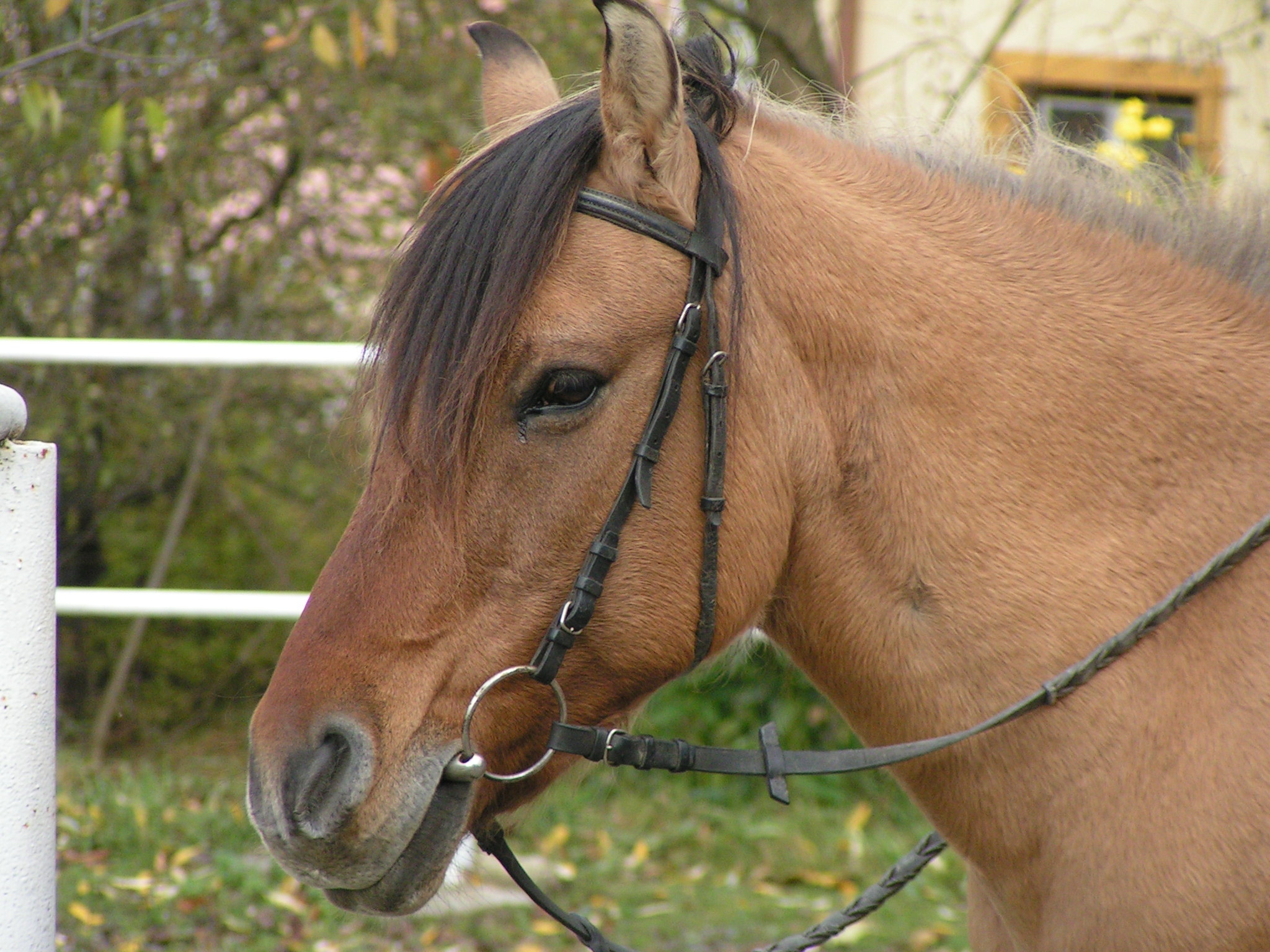 PICT0093.JPG