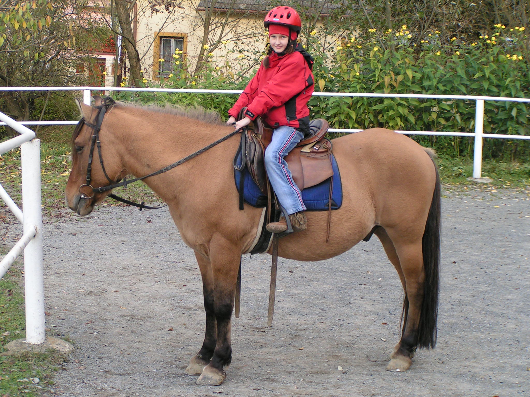 PICT0095.JPG