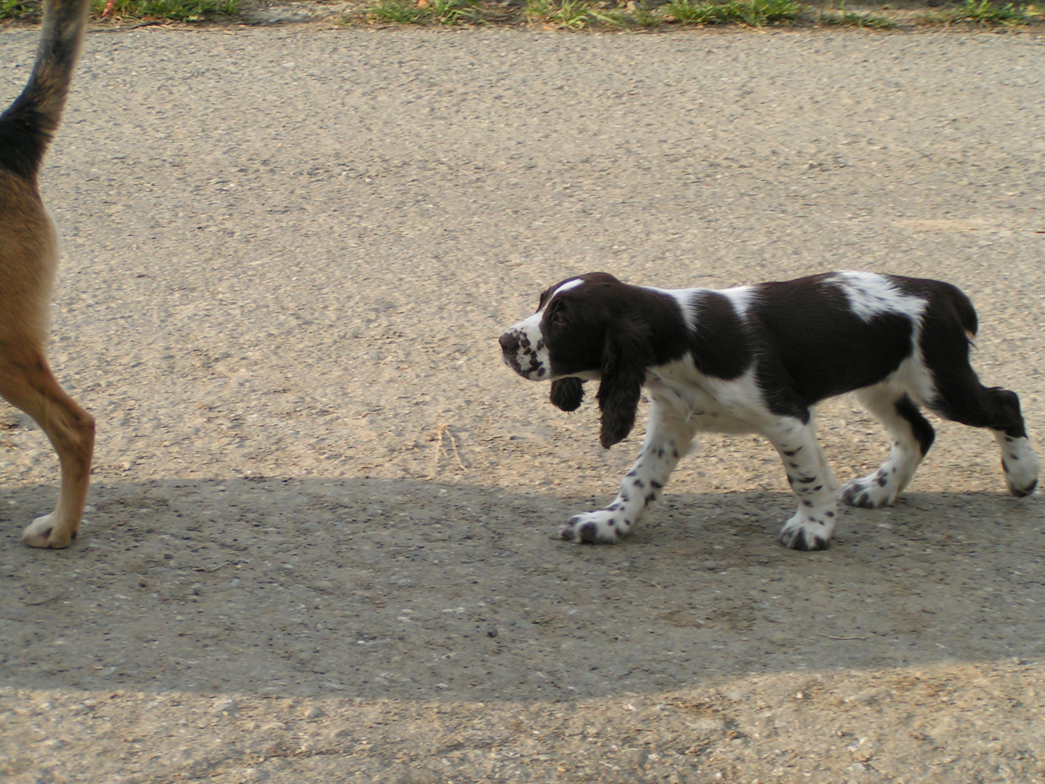 PICT0097.JPG
