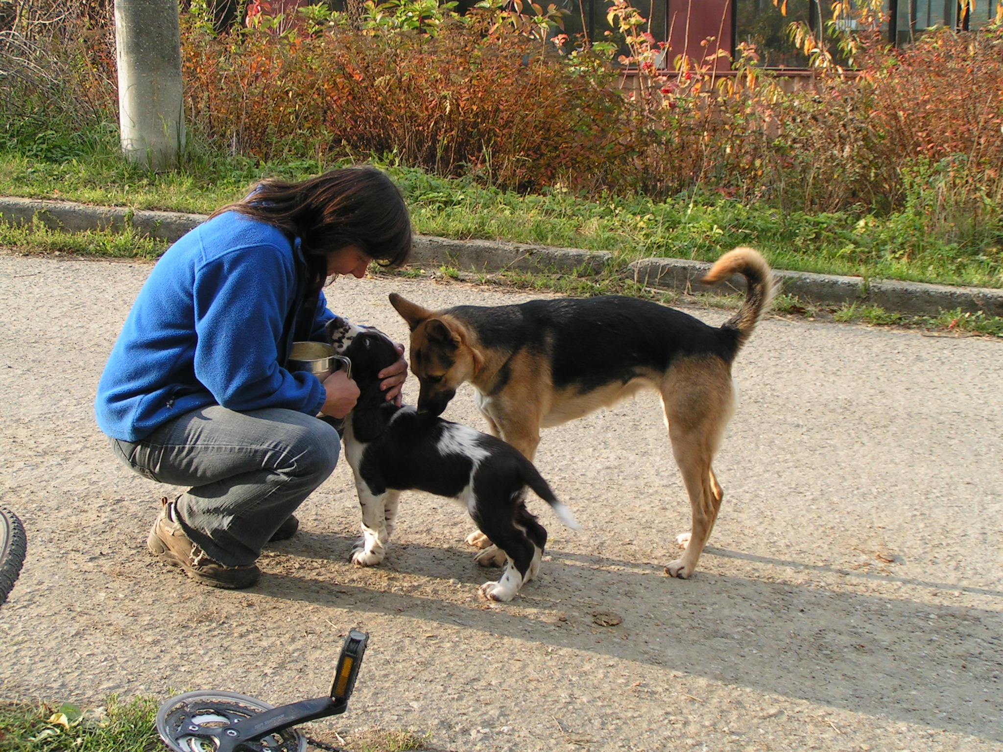 PICT0098.JPG