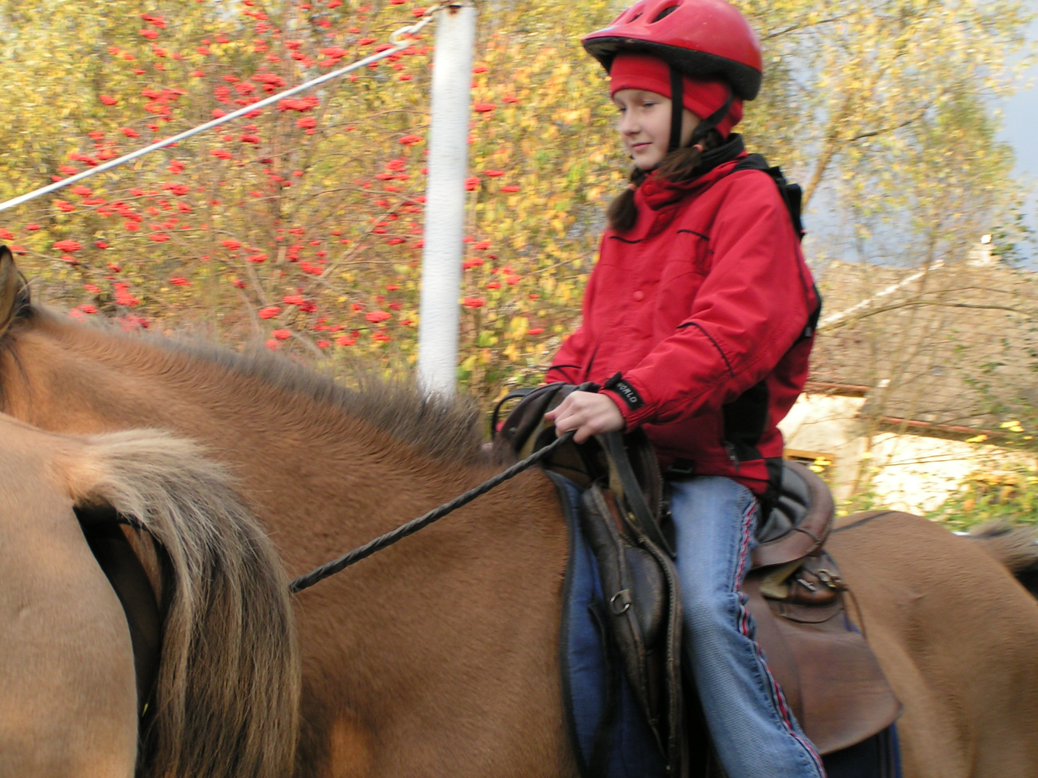 PICT0103.JPG